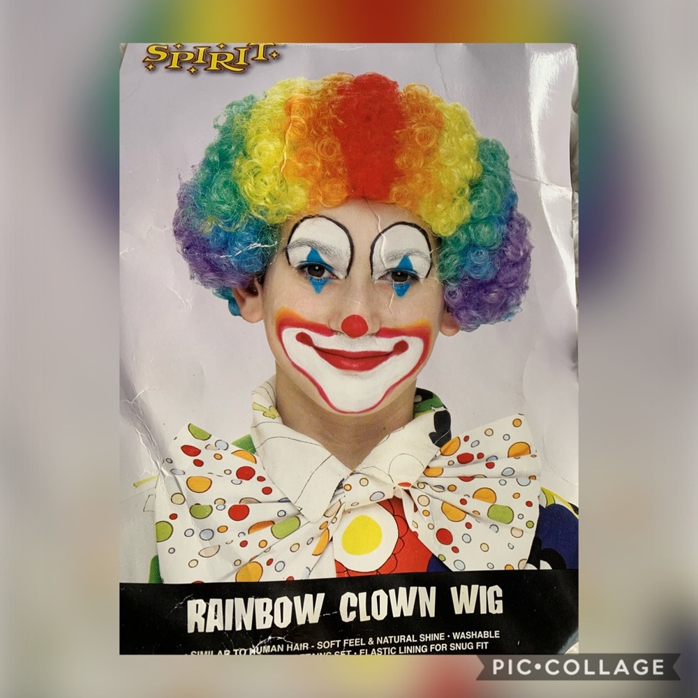 Spirit rainbow clown wig